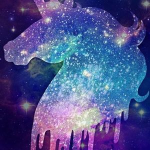 Meet your Posher, Alexia